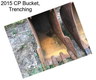 2015 CP Bucket, Trenching