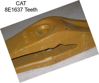 CAT 8E1637 Teeth