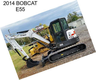 2014 BOBCAT E55