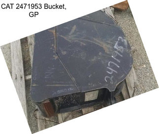 CAT 2471953 Bucket, GP