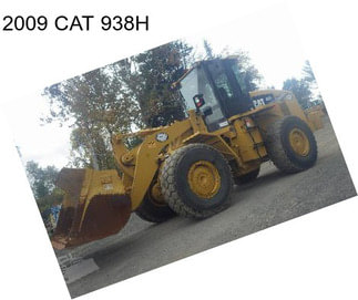 2009 CAT 938H