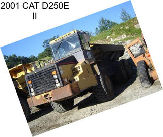 2001 CAT D250E II