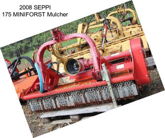 2008 SEPPI 175 MINIFORST Mulcher