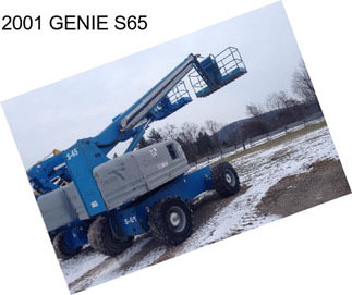 2001 GENIE S65