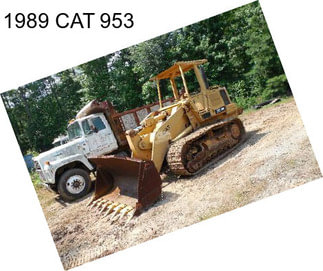 1989 CAT 953