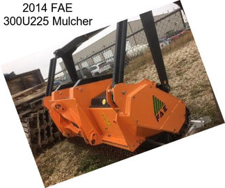 2014 FAE 300U225 Mulcher