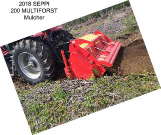 2018 SEPPI 200 MULTIFORST Mulcher