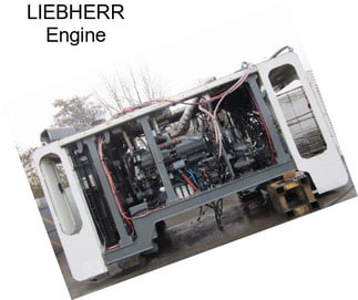 LIEBHERR Engine