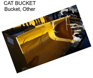 CAT BUCKET Bucket, Other