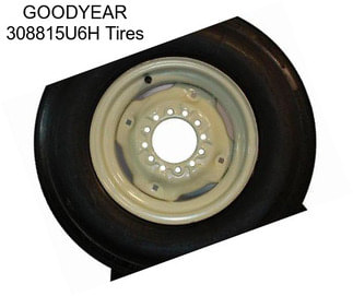 GOODYEAR 308815U6H Tires