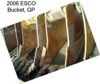 2006 ESCO Bucket, GP