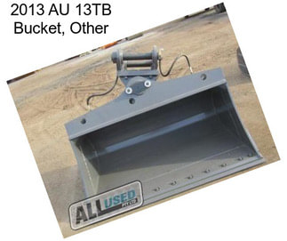 2013 AU 13TB Bucket, Other