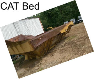 CAT Bed