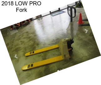 2018 LOW PRO Fork