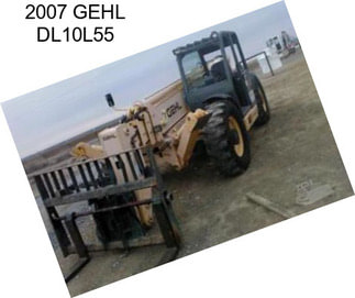 2007 GEHL DL10L55