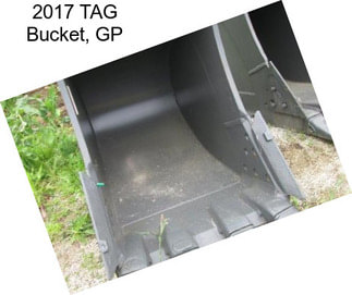 2017 TAG Bucket, GP