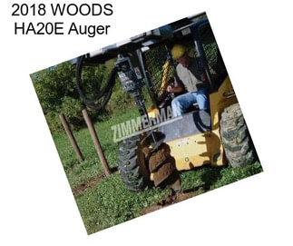 2018 WOODS HA20E Auger