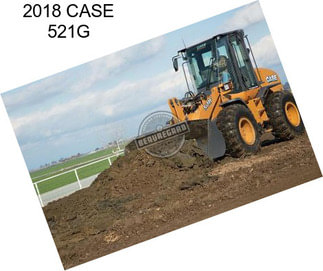 2018 CASE 521G