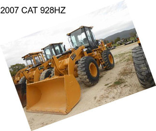 2007 CAT 928HZ