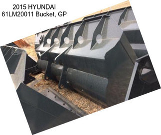 2015 HYUNDAI 61LM20011 Bucket, GP