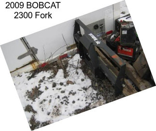 2009 BOBCAT 2300 Fork