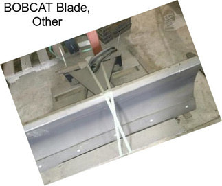 BOBCAT Blade, Other