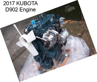 2017 KUBOTA D902 Engine