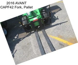 2016 AVANT CAPF42 Fork, Pallet