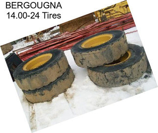 BERGOUGNA 14.00-24 Tires