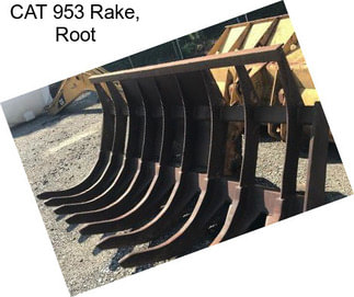 CAT 953 Rake, Root
