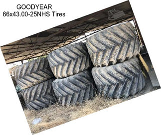 GOODYEAR 66x43.00-25NHS Tires