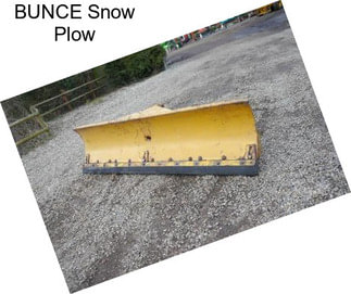 BUNCE Snow Plow