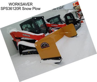 WORKSAVER SPS36120R Snow Plow