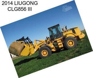 2014 LIUGONG CLG856 III