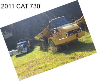 2011 CAT 730