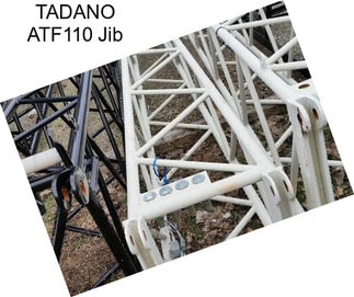 TADANO ATF110 Jib