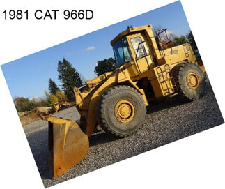 1981 CAT 966D