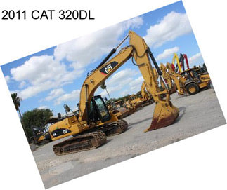 2011 CAT 320DL