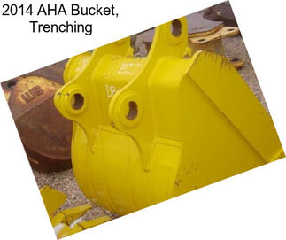 2014 AHA Bucket, Trenching