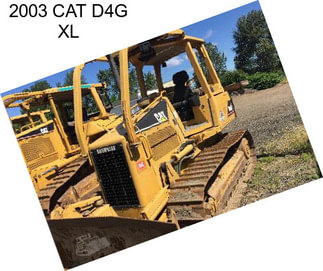 2003 CAT D4G XL