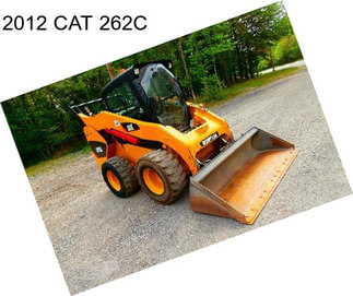 2012 CAT 262C