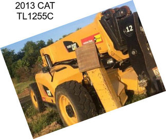 2013 CAT TL1255C