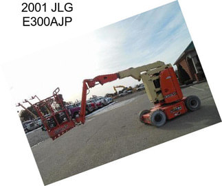 2001 JLG E300AJP