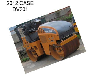 2012 CASE DV201