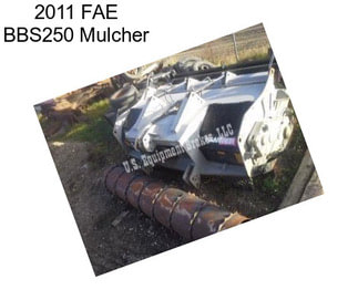 2011 FAE BBS250 Mulcher