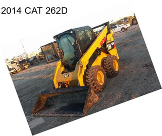 2014 CAT 262D