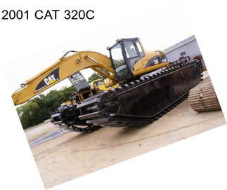 2001 CAT 320C