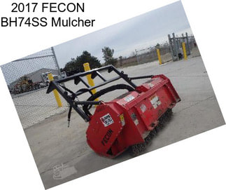 2017 FECON BH74SS Mulcher