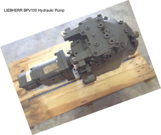 LIEBHERR BPV100 Hydraulic Pump