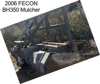 2006 FECON BH350 Mulcher